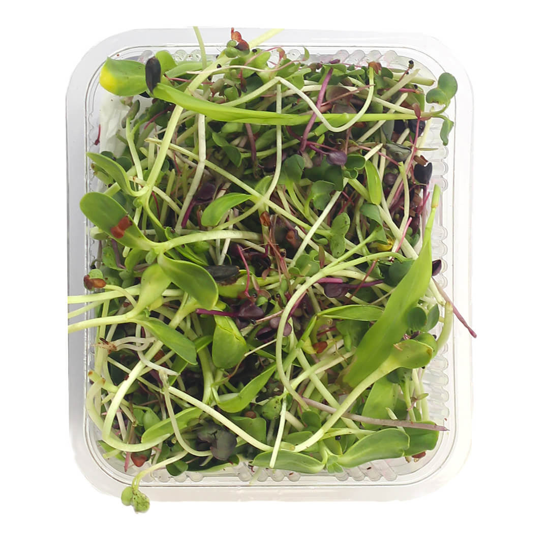 Microgreen Mix 100G