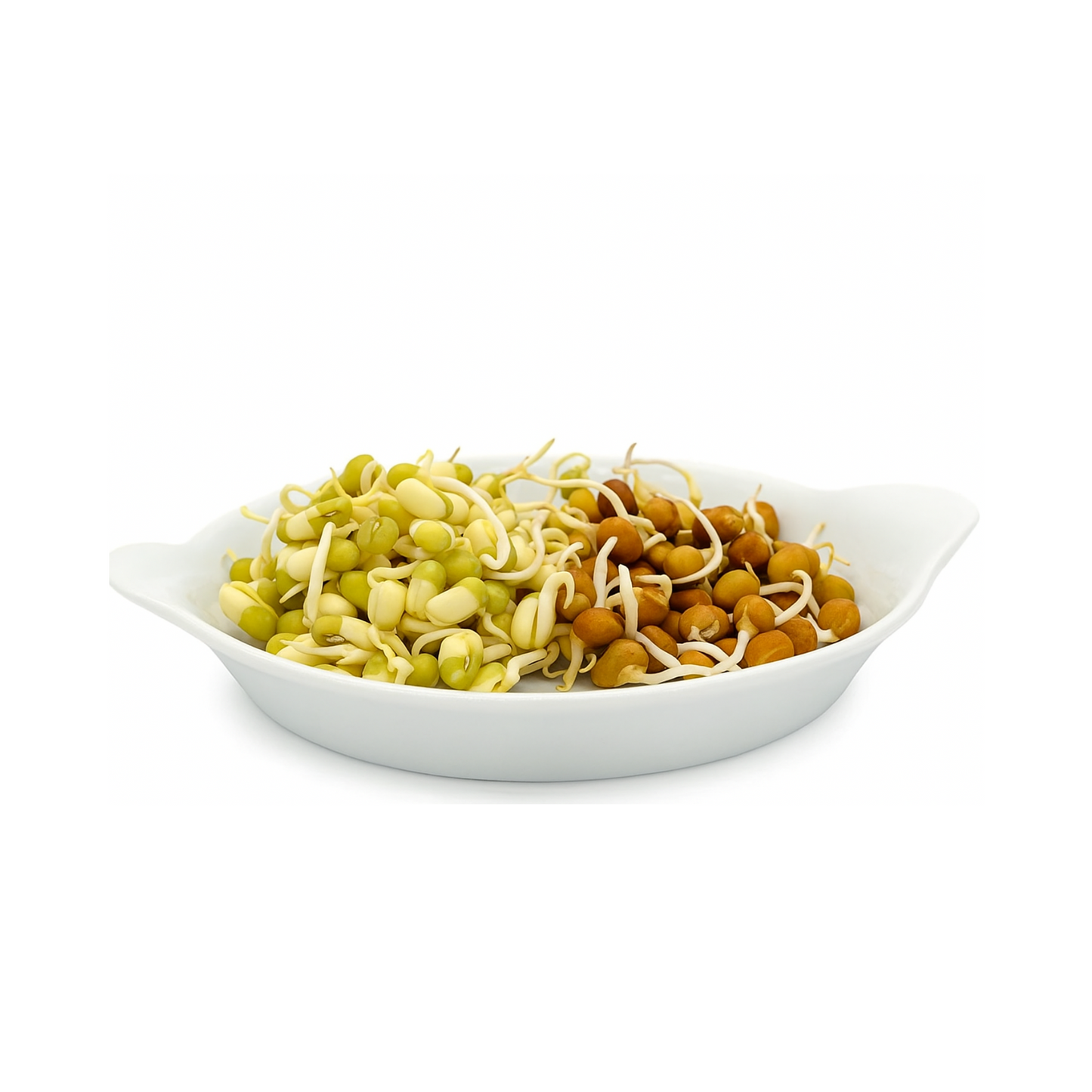 Moong & Chana Sprouts 200G