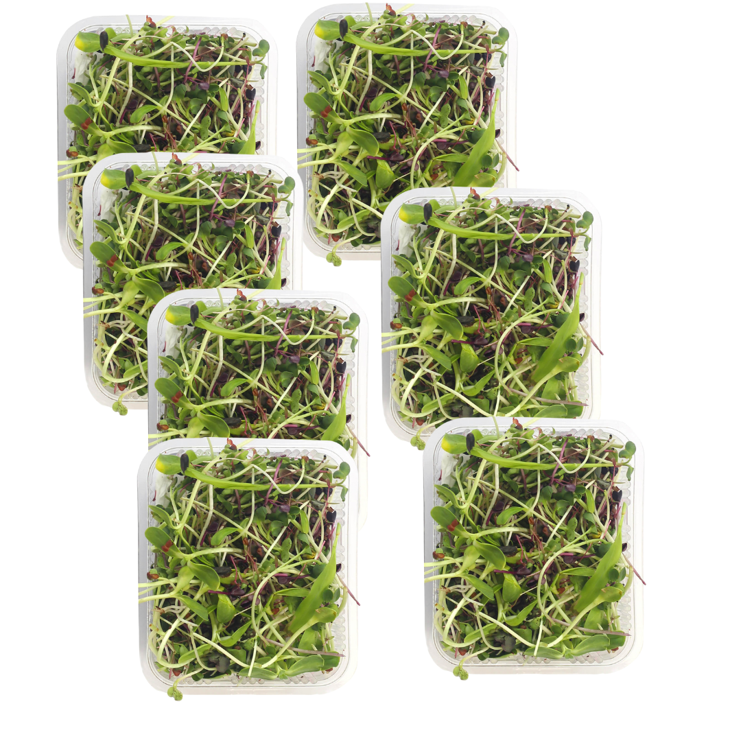 Microgreen Mix 100G Weekly pack