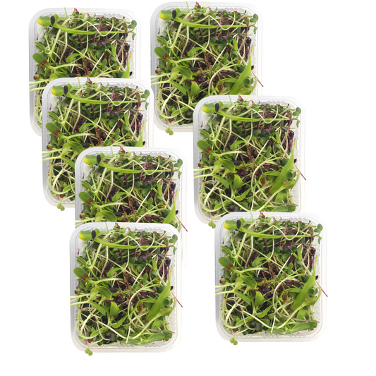 Microgreen Mix 100G Weekly pack