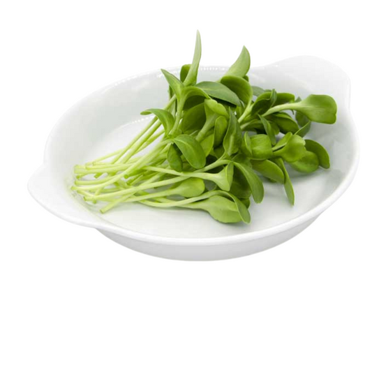Sunflower Microgreens 100G
