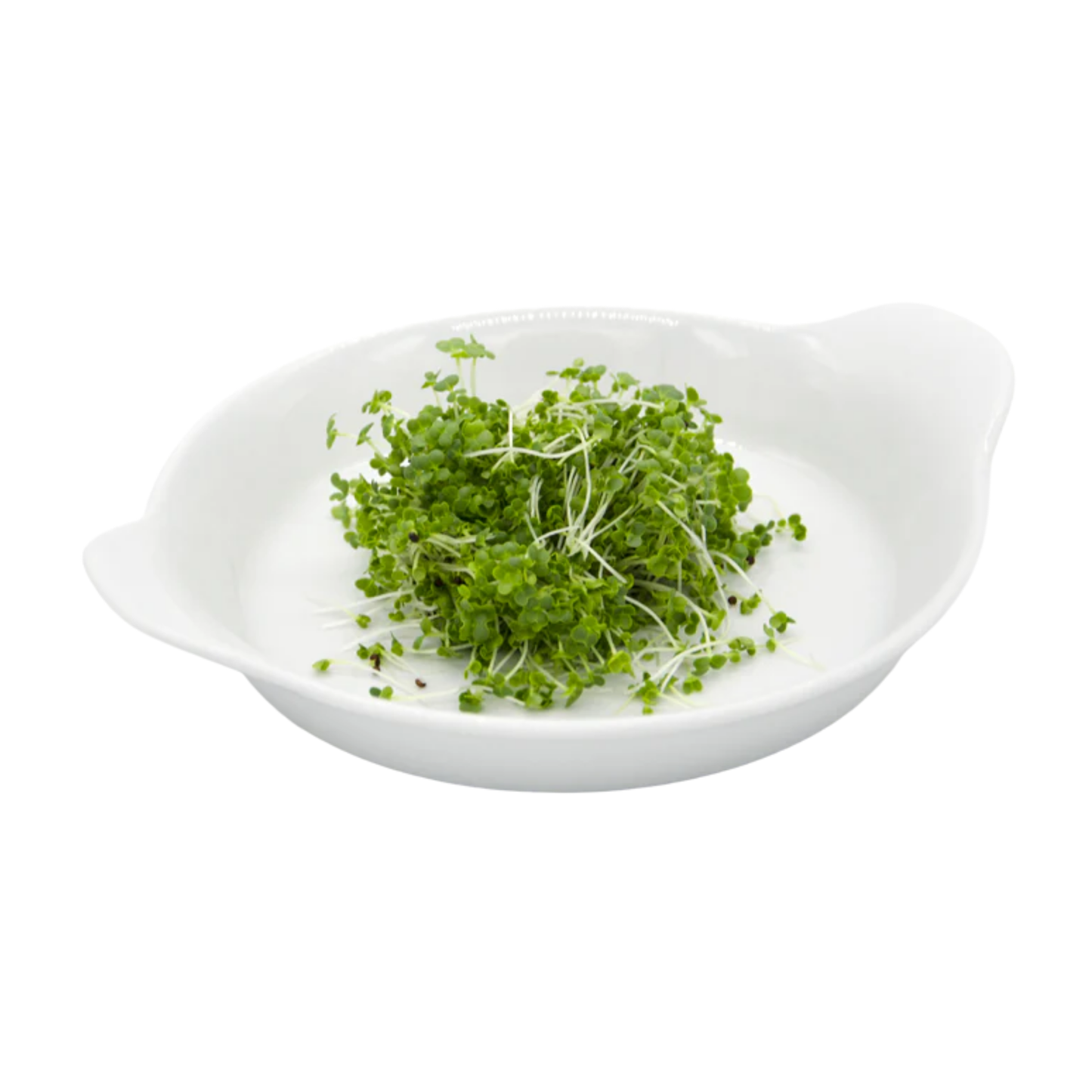 Pak Choi Microgreens 50G