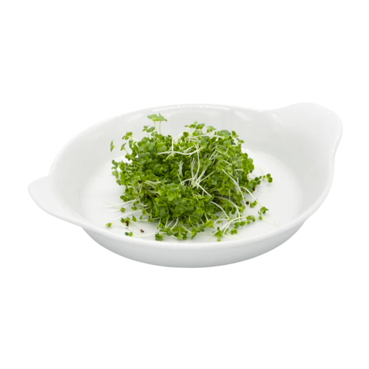 Pak Choi Microgreens 50G