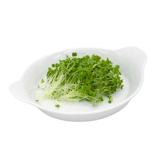 Broccoli Microgreens 100G