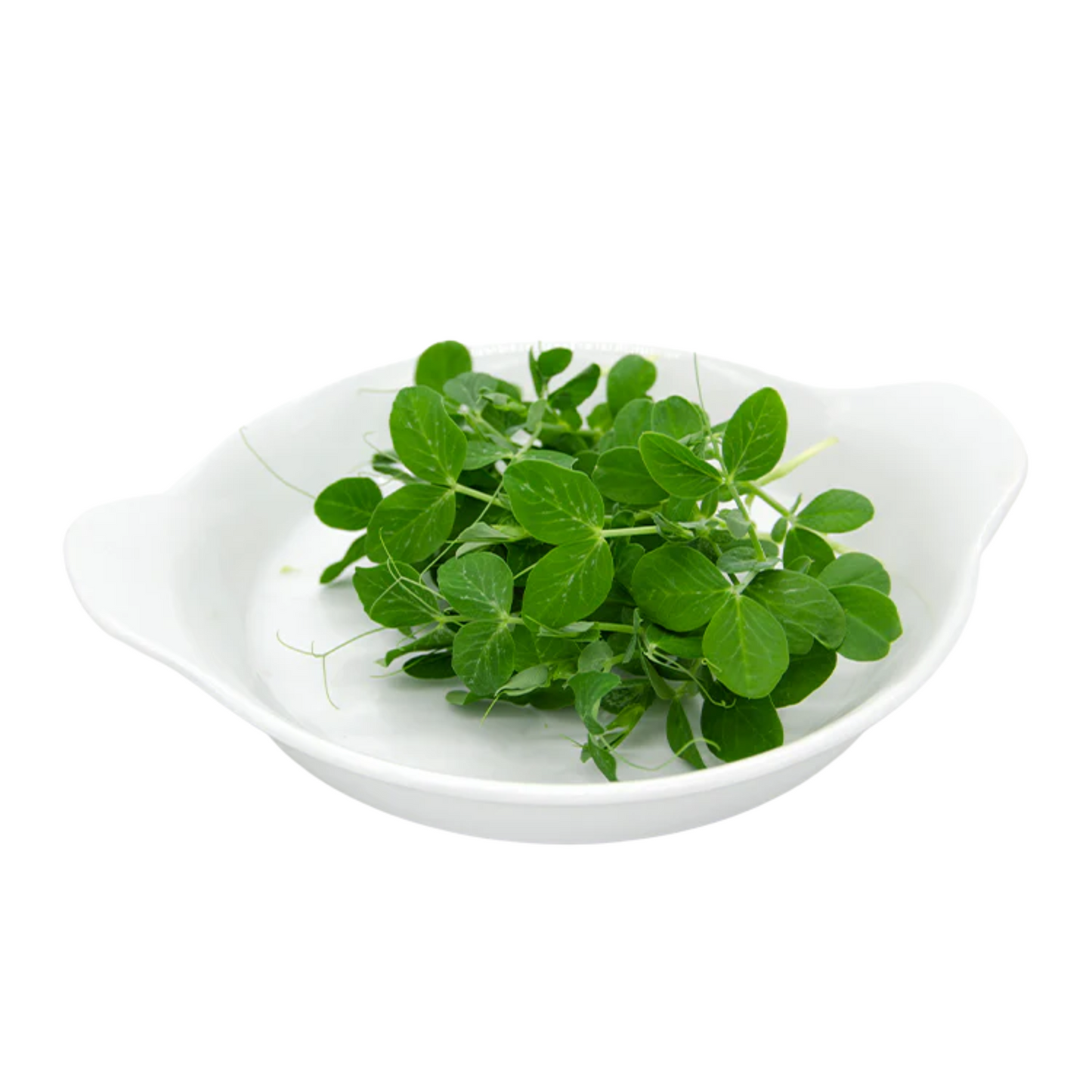 Peas Microgreens 50G