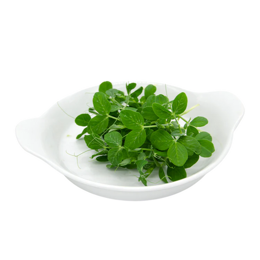 Peas Microgreens 100G