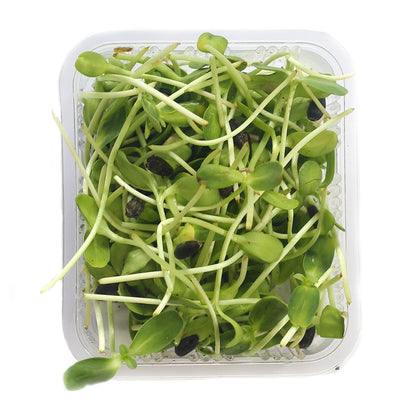 Sunflower Microgreens 100G Weekly Pack